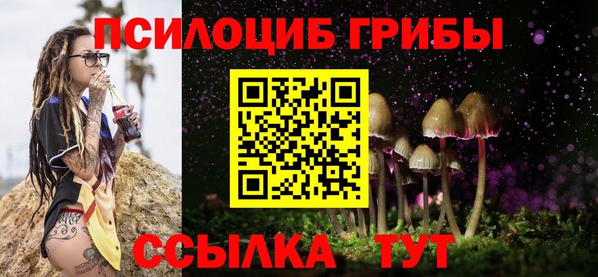 Москва  Галлюциногенные грибы ЛСД  Вход с VPN 