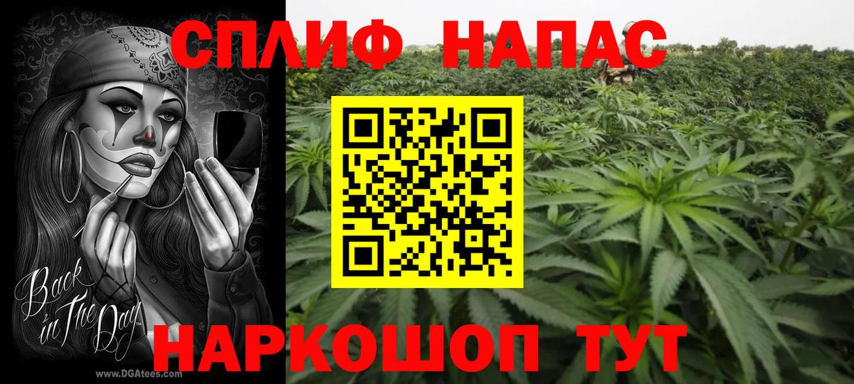 Бошки Шишки OG Kush Москва
